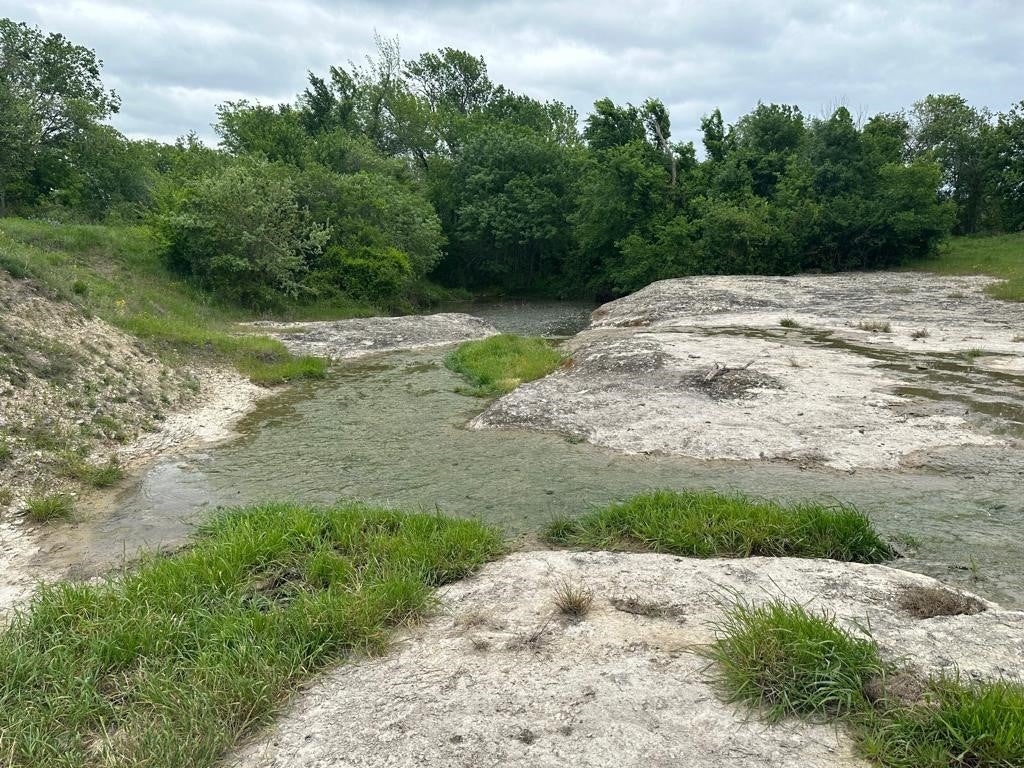 Photo of Listing #3869316