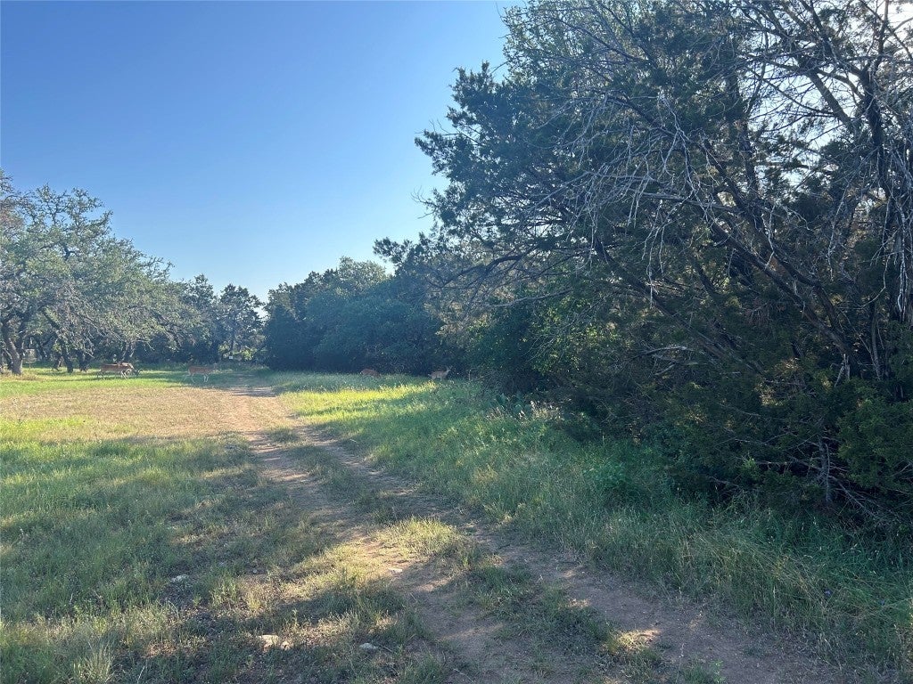 Photo of Listing #2317082