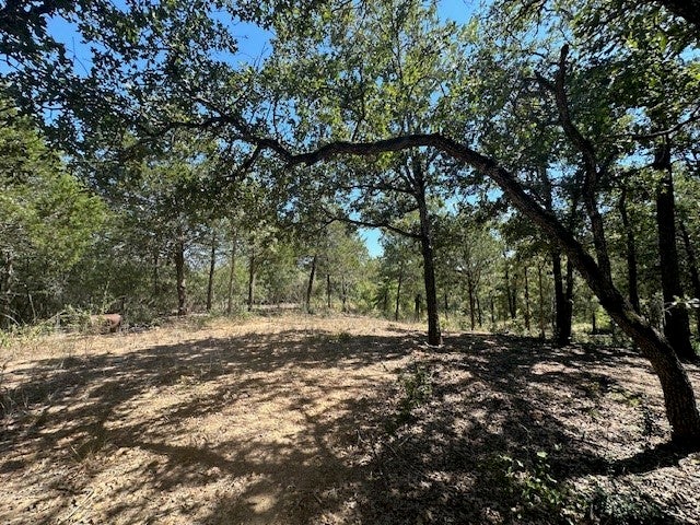0 Tbd Lot 103 Ripple Brook Drive, Bastrop