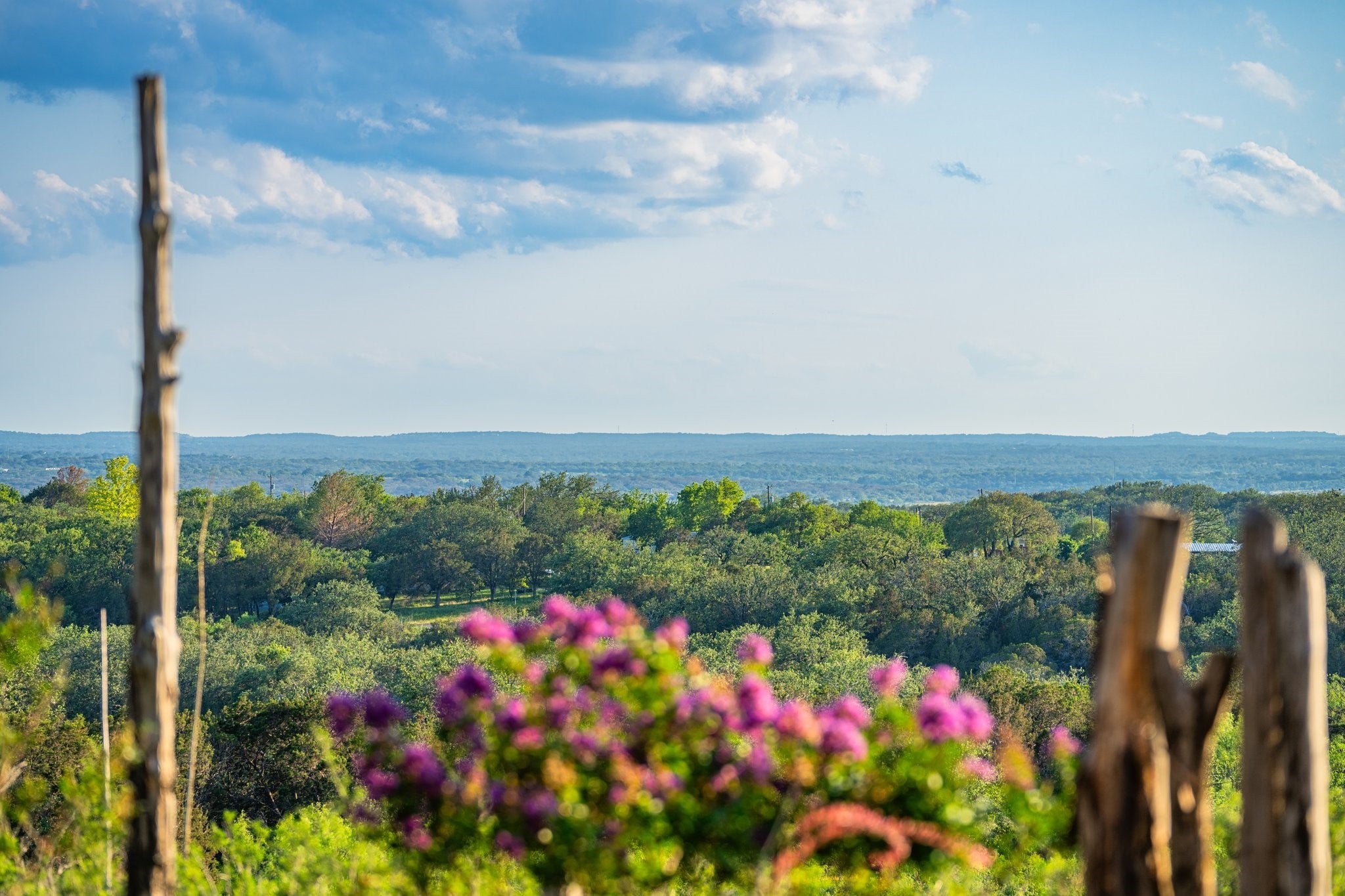 Photo of Listing #3778233