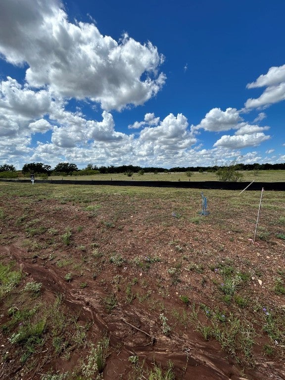 542 Arborland Drive, Georgetown