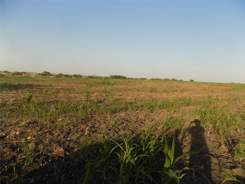 Photo of Listing #8663700