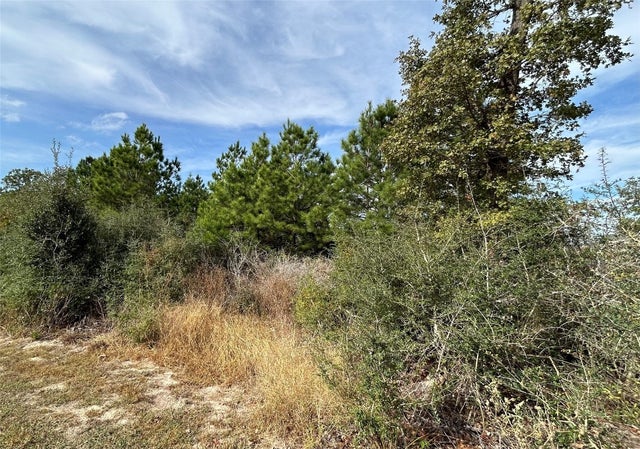 Tbd Jim Bowie Drive, Paige