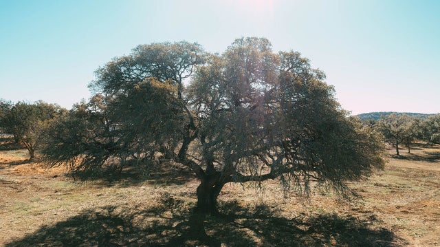 268 Kinnikinik Lot 11 And 12 Loop, Austin