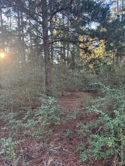 107 Lake Point Way, Bastrop