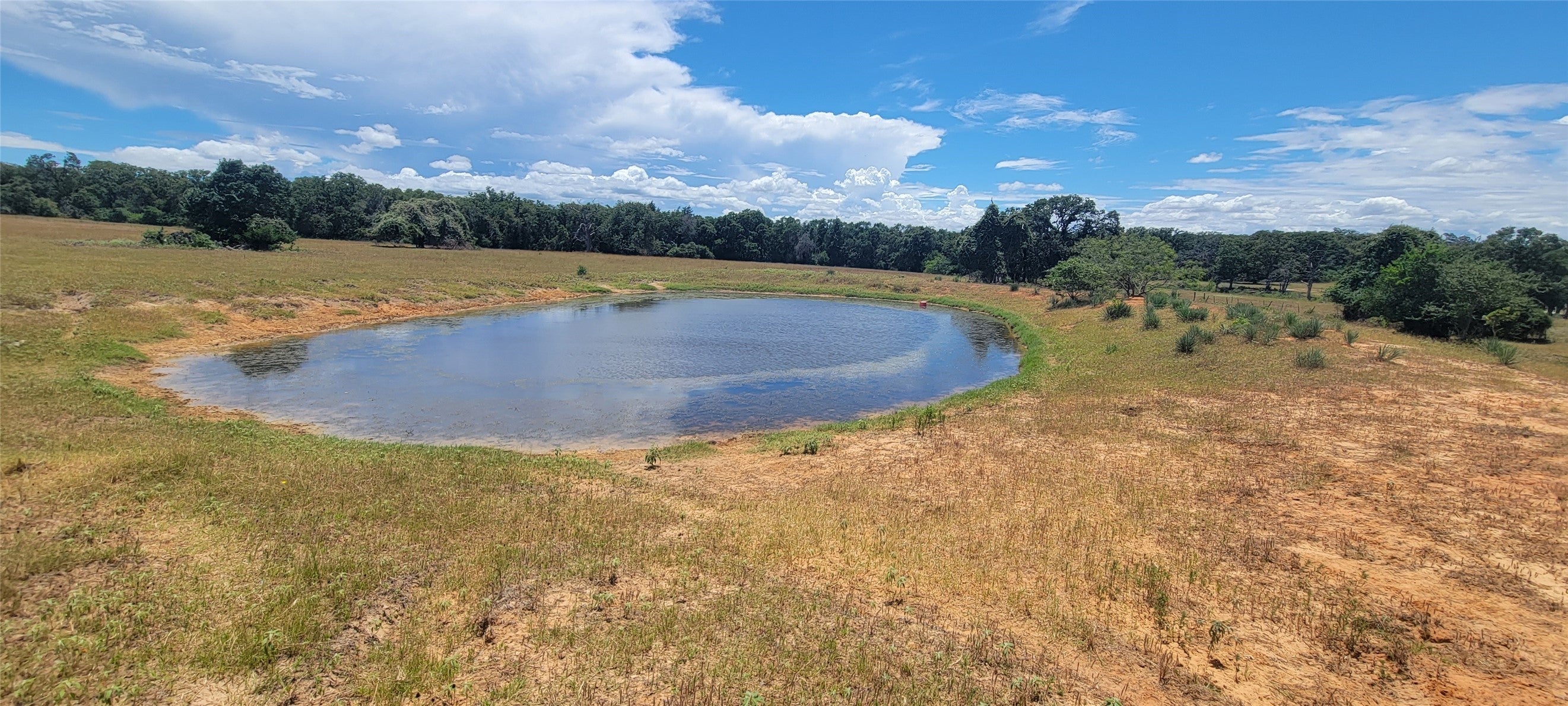 Photo of Listing #6001940