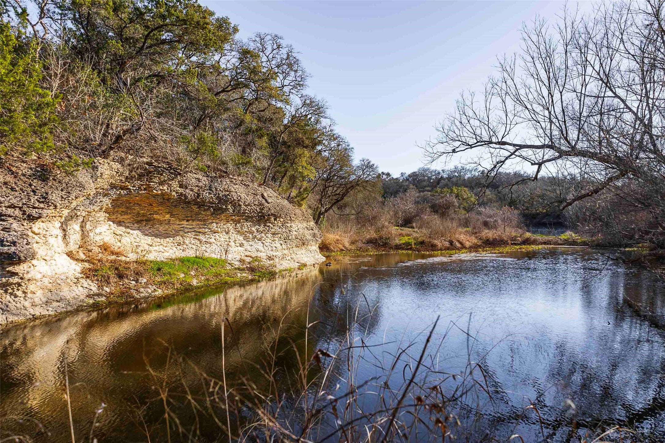 Photo of Listing #8704129