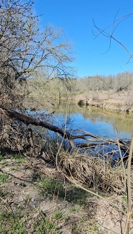 Bradshaw Road, Austin