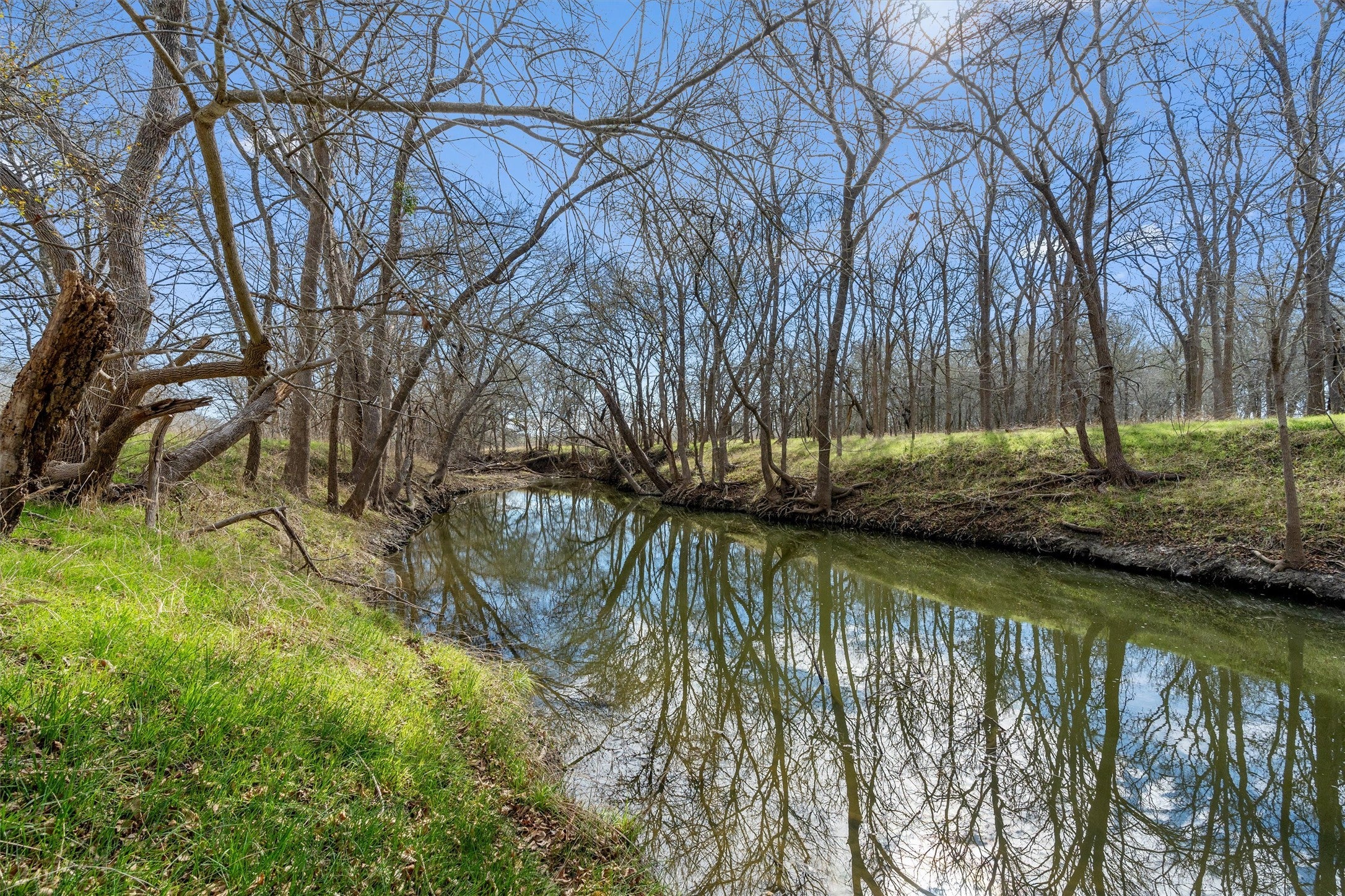 Photo of Listing #6952467