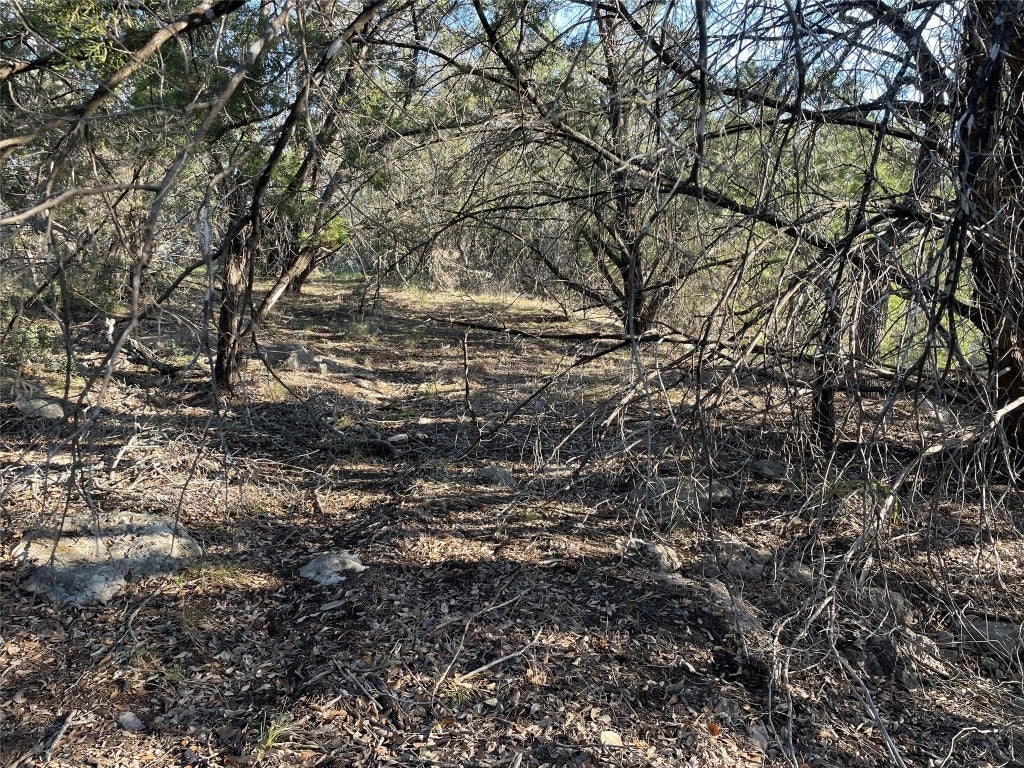 Photo of Listing #5053835