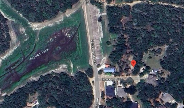 5 Basswood Circle, Wimberley