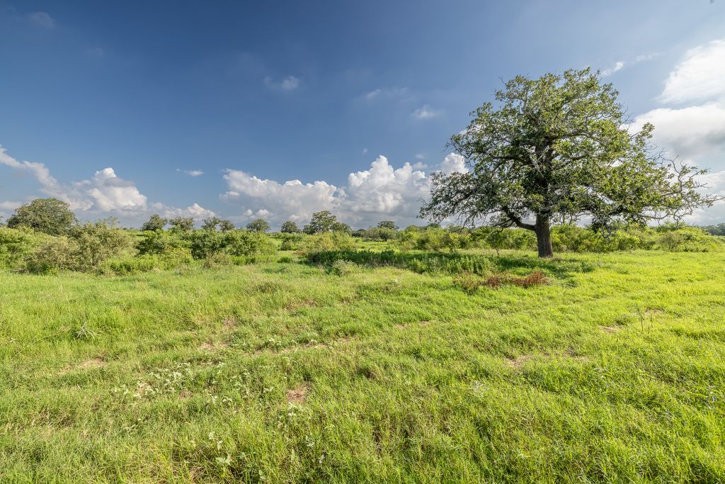 Lot 1-b County Road 491, Gonzales