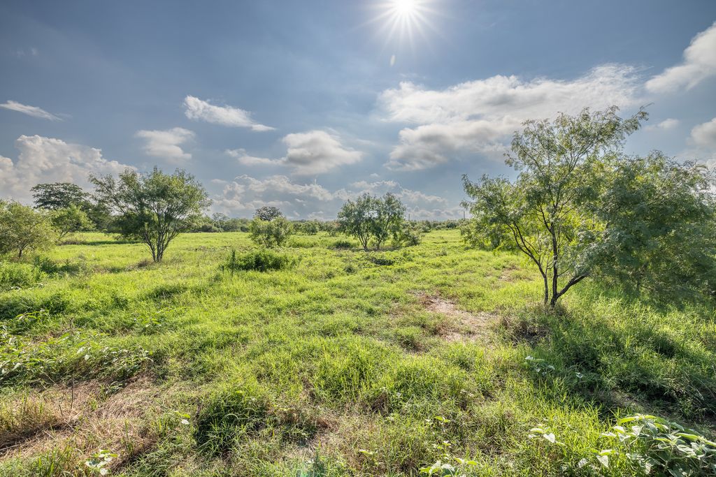 Lot 1-c County Road 491, Gonzales