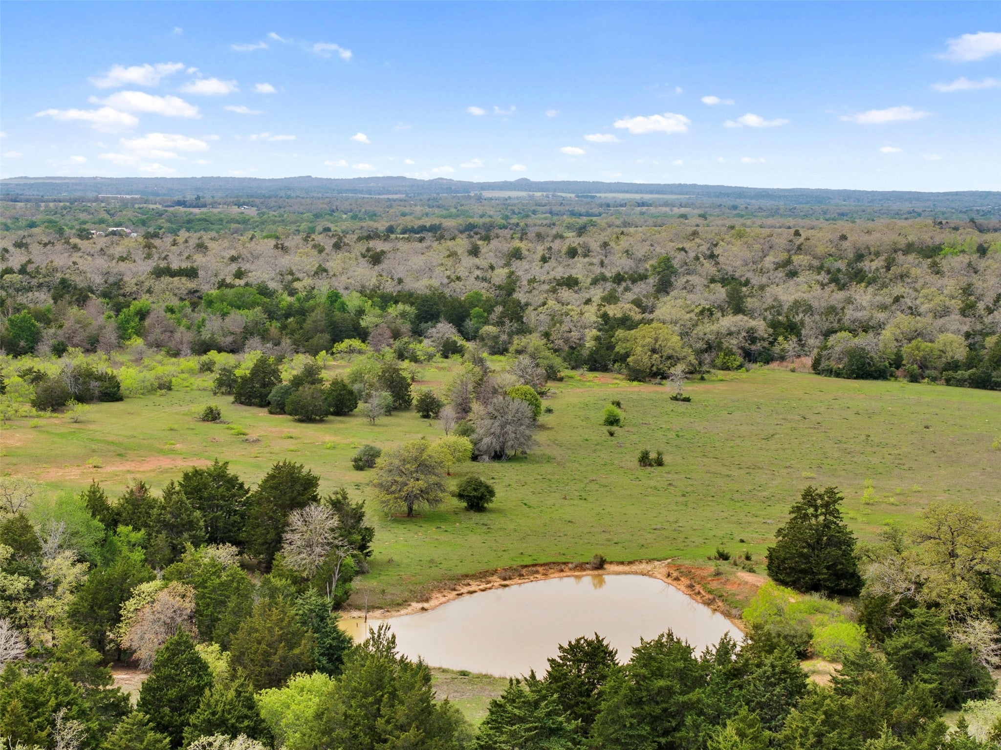 Photo of Listing #3788257