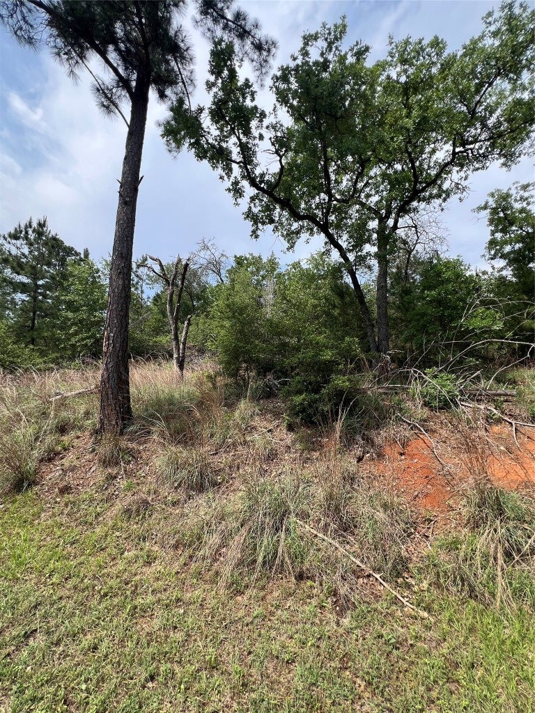 Photo of Listing #8078313