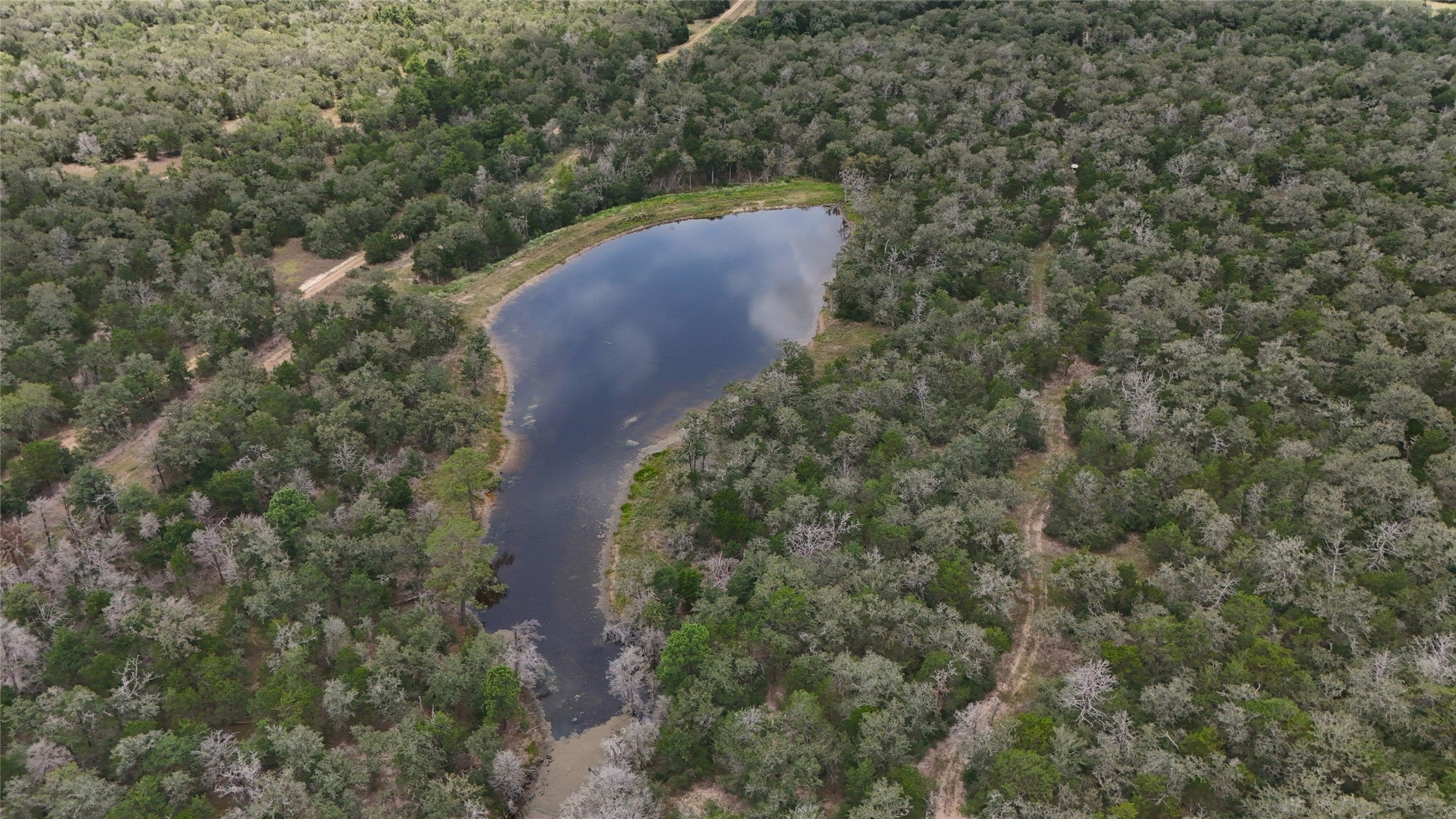 Photo of Listing #4167182