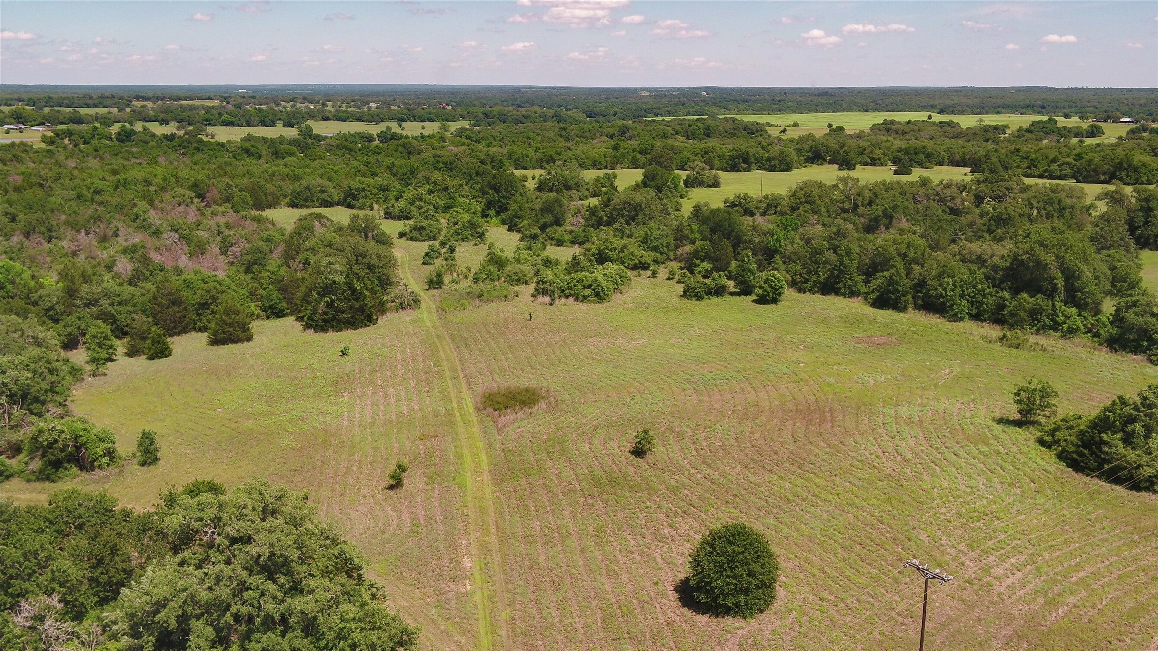 Photo of Listing #3864886