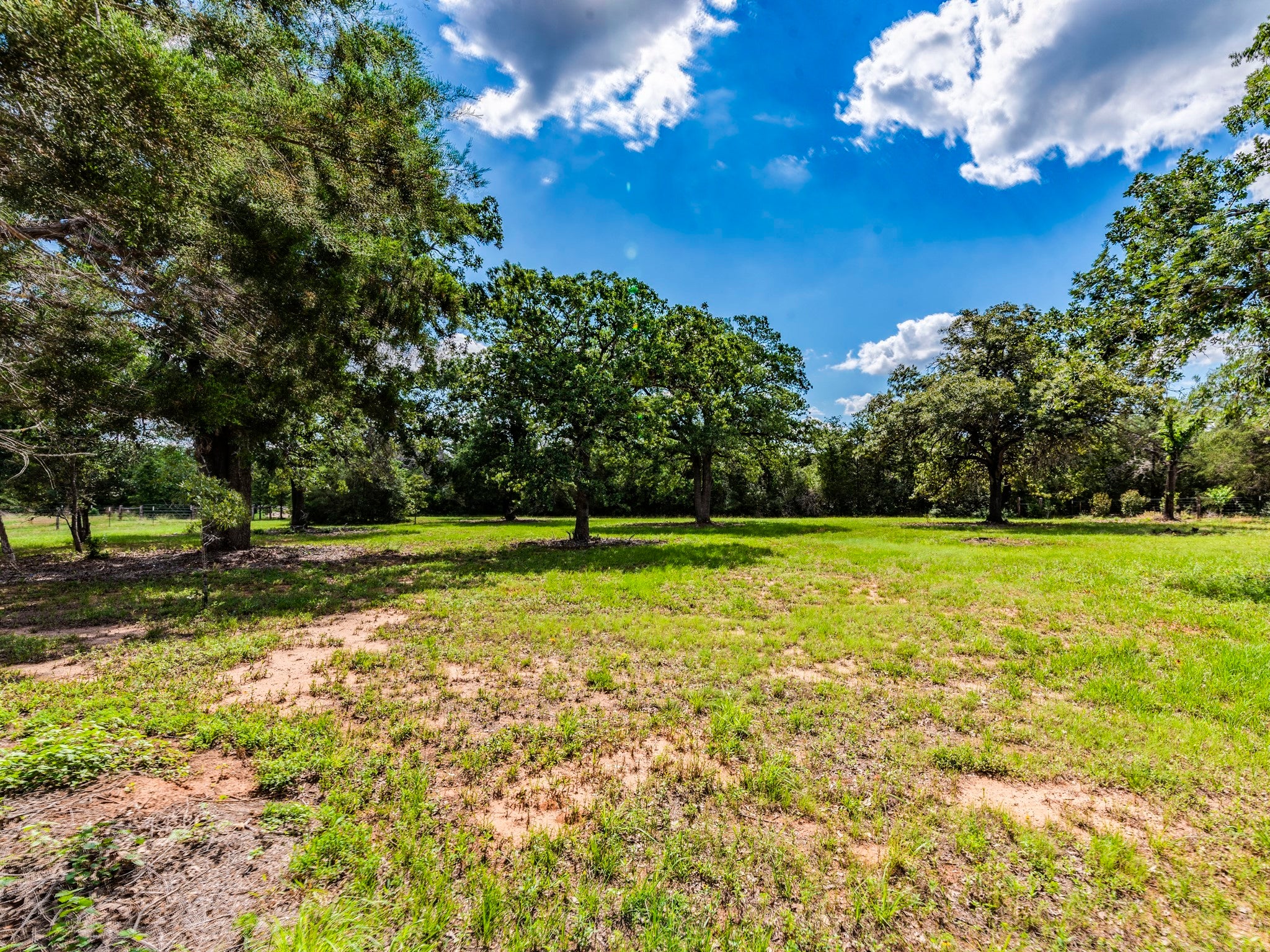 Photo of Listing #9179167