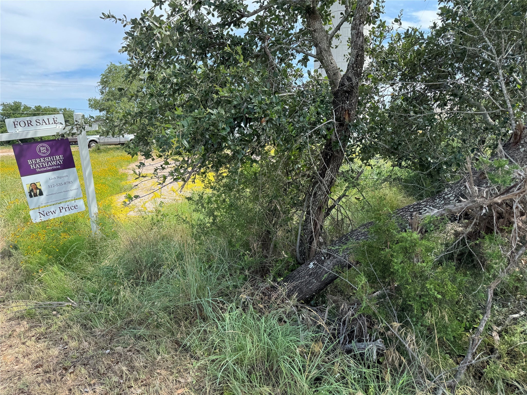 Photo of Listing #1844167