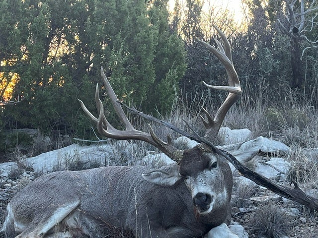 Photo of Listing #9658601