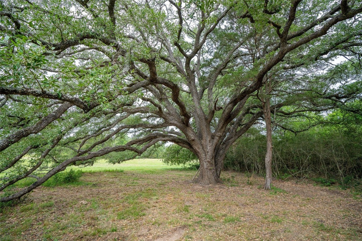 Photo of Listing #9177349