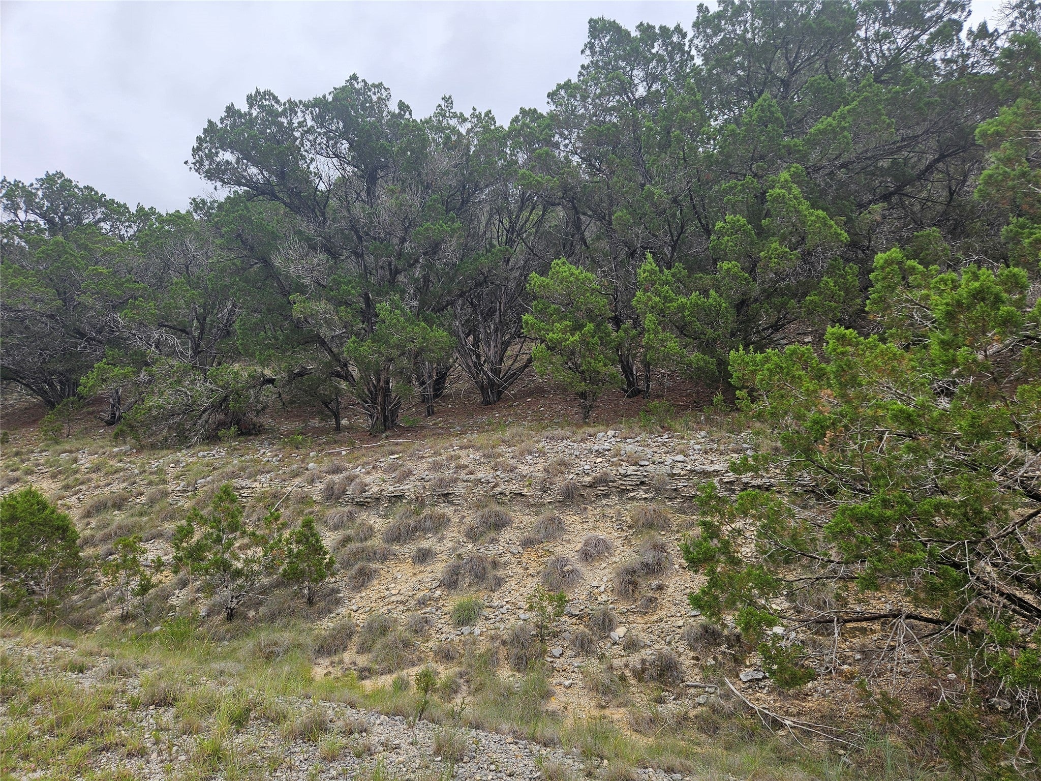 Photo of Listing #1161698