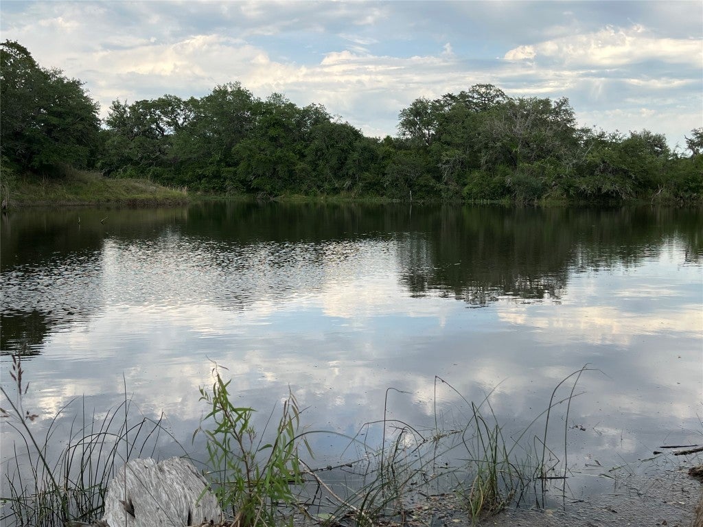 Photo of Listing #6932648