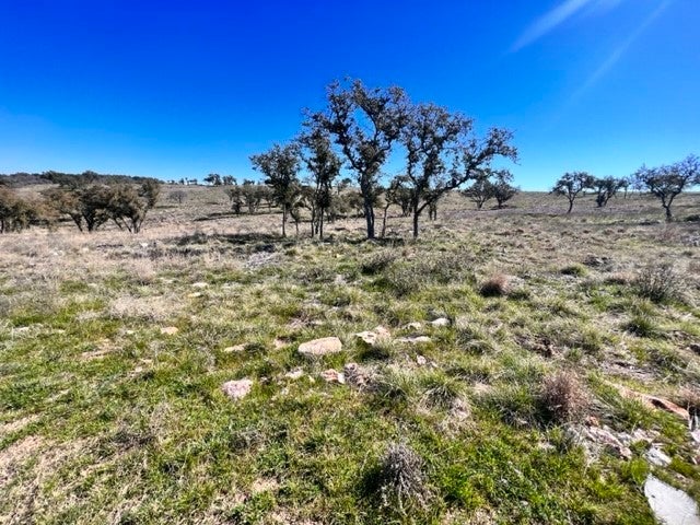 Photo of Listing #1233876