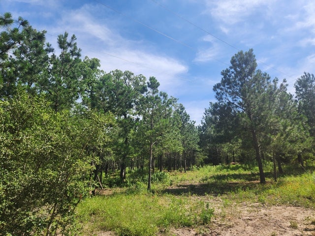 124 Paintbrush Lane, Bastrop