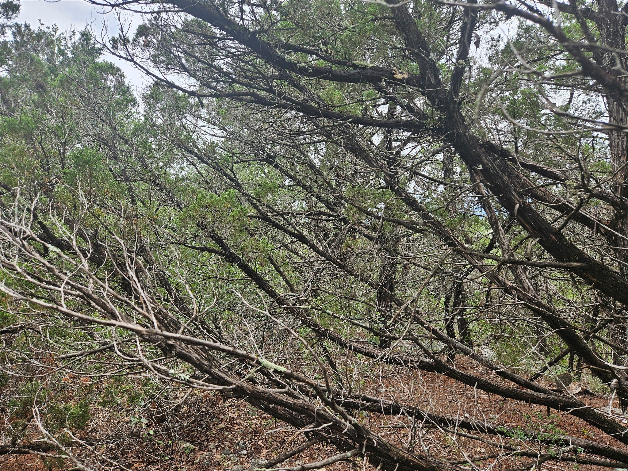 Photo of Listing #4666463