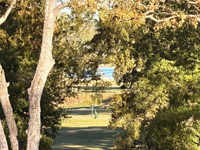 21010 Stone Cliff Drive, Lago Vista