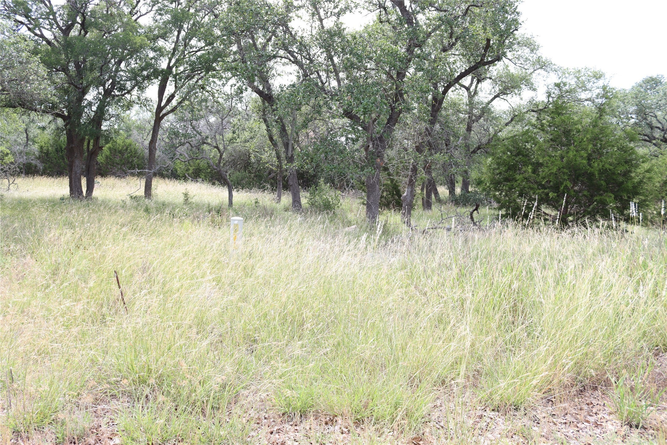 Photo of Listing #6417464