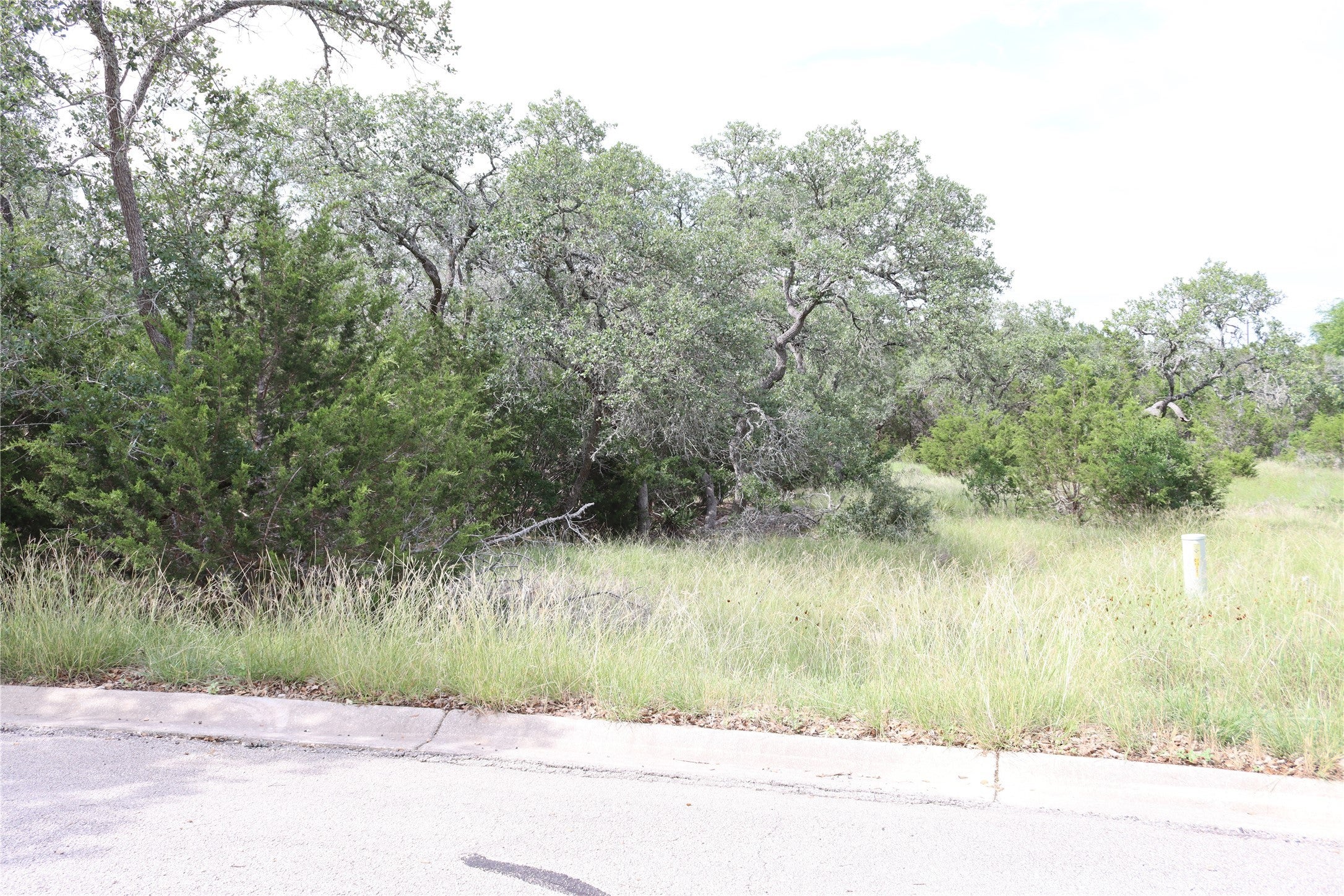 Photo of Listing #5272388