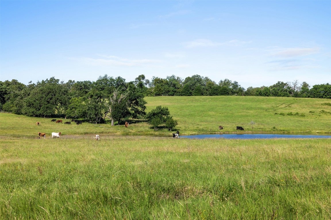 Photo of Listing #6696101