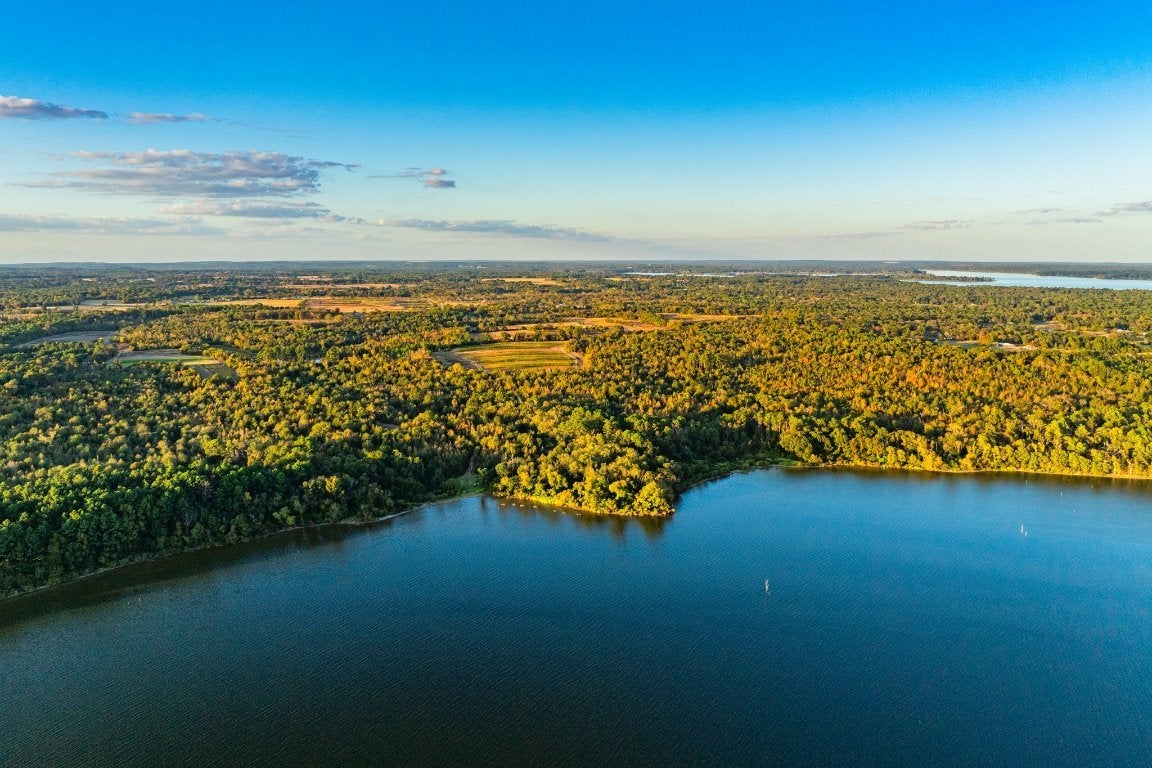 Photo of Listing #3781360