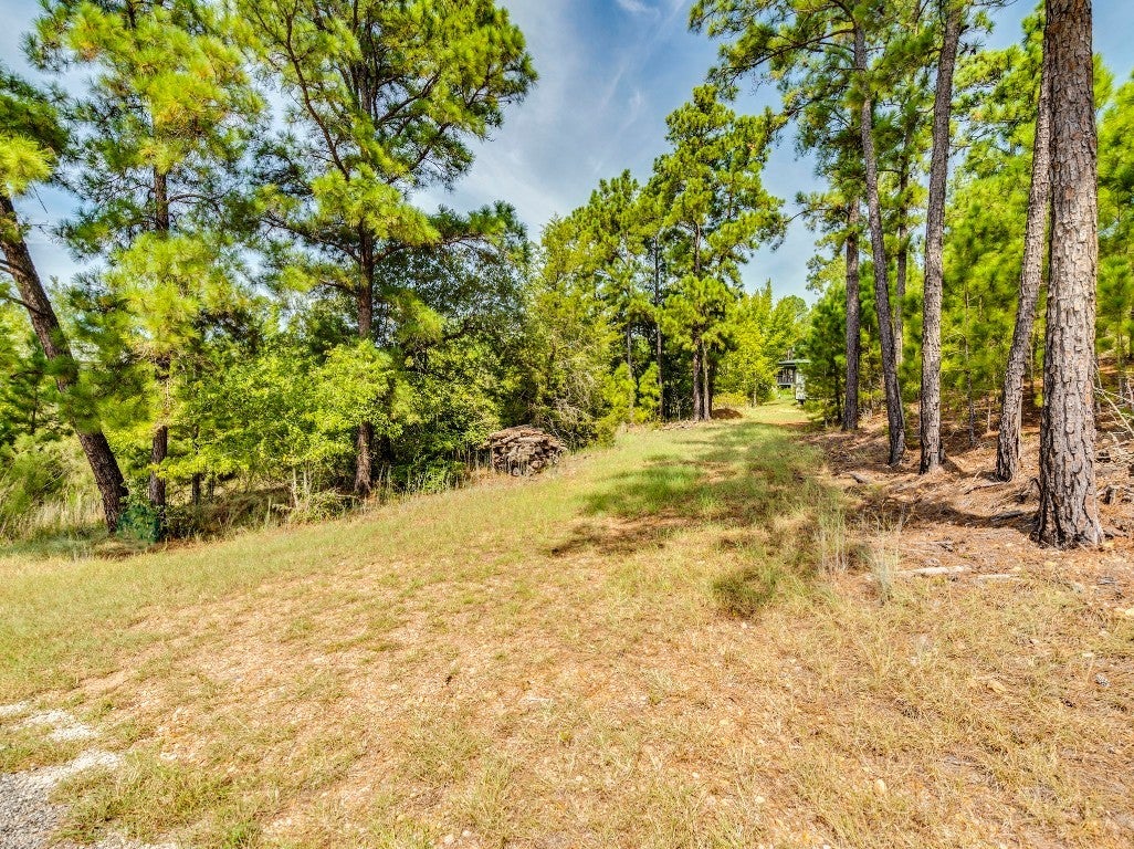 Photo of Listing #6479544