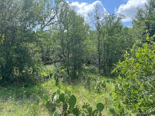 103 Mann Lane, Cedar Creek