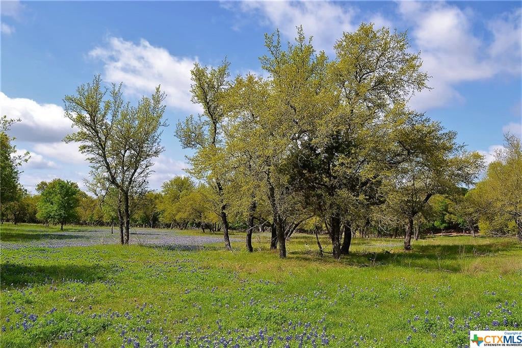 1290 County Road 4765, Kempner