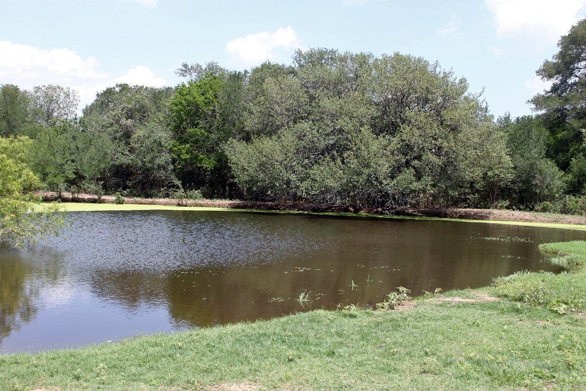 Photo of Listing #3523845