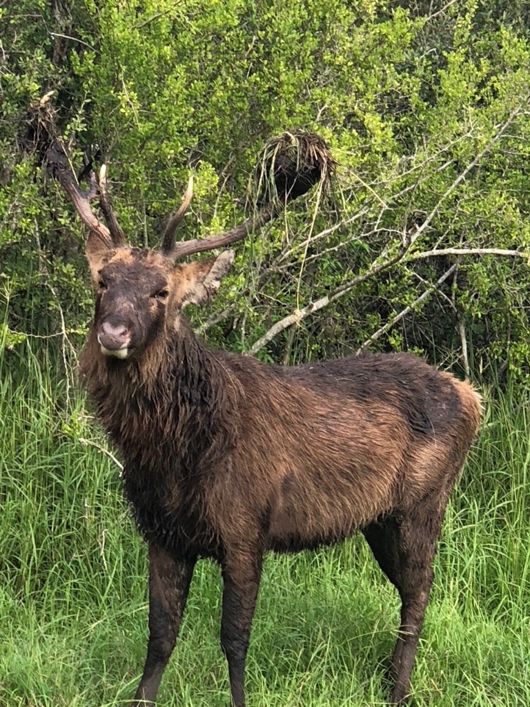 305 Cr 305, Beeville