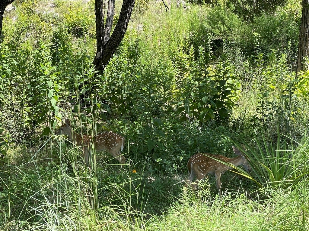 Photo of Listing #1688722