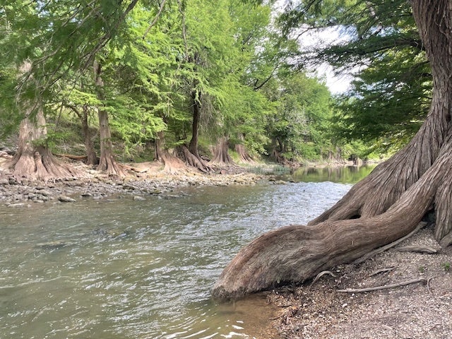Bergheim Homes for Sale on Guadalupe River in the Zipcode of 78004