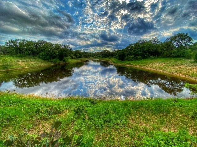 Photo of Listing #2999483