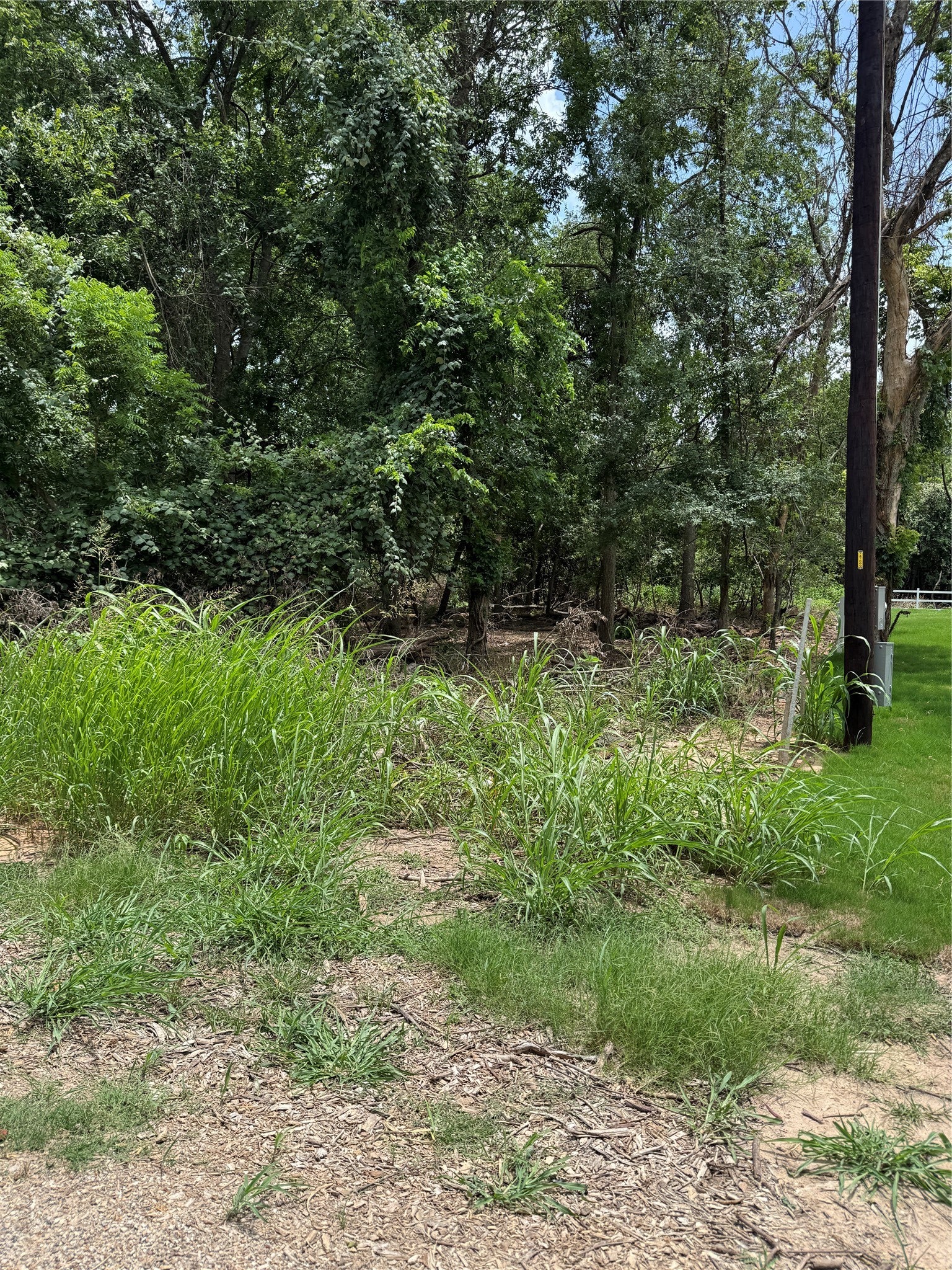 Photo of Listing #5454974