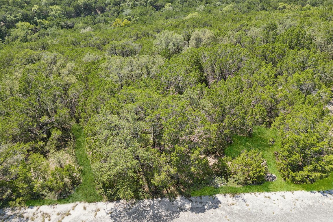 Photo of Listing #3652261