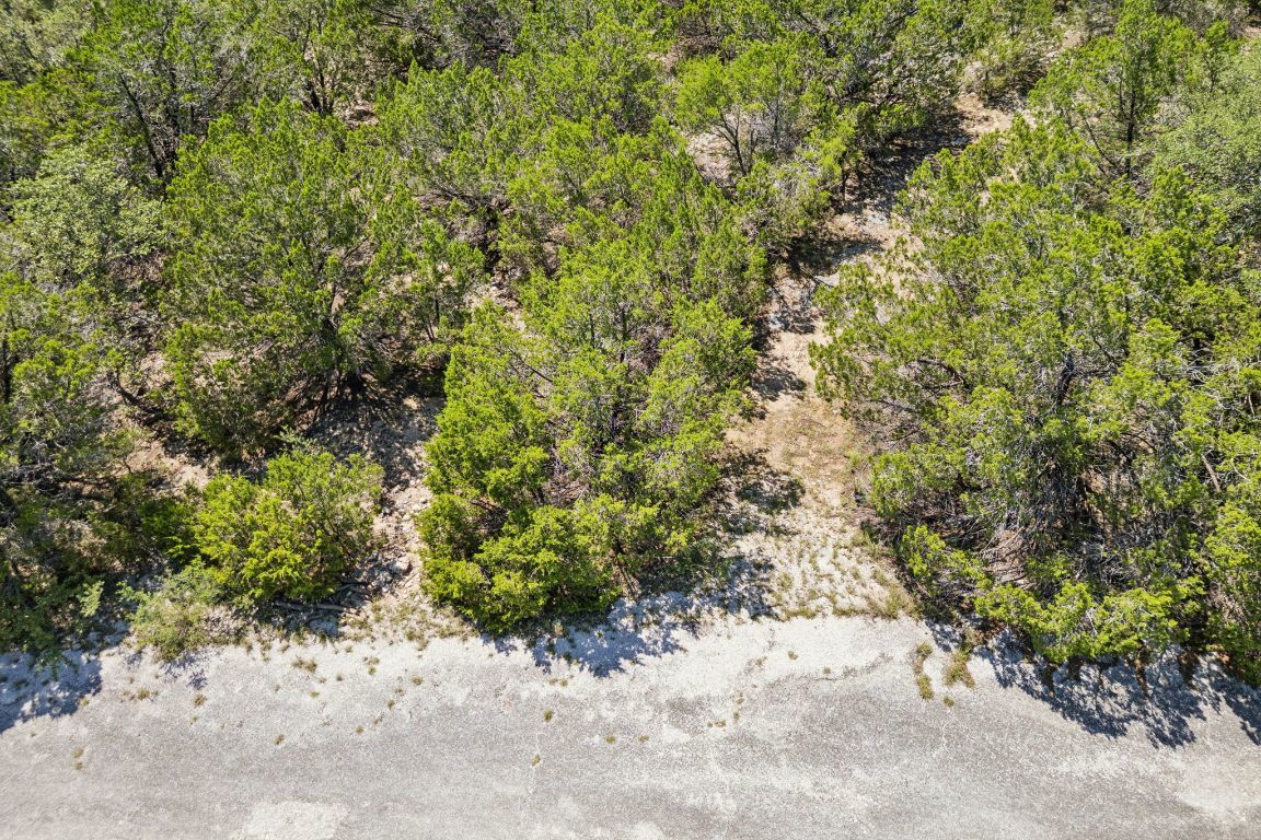 Photo of Listing #7321455