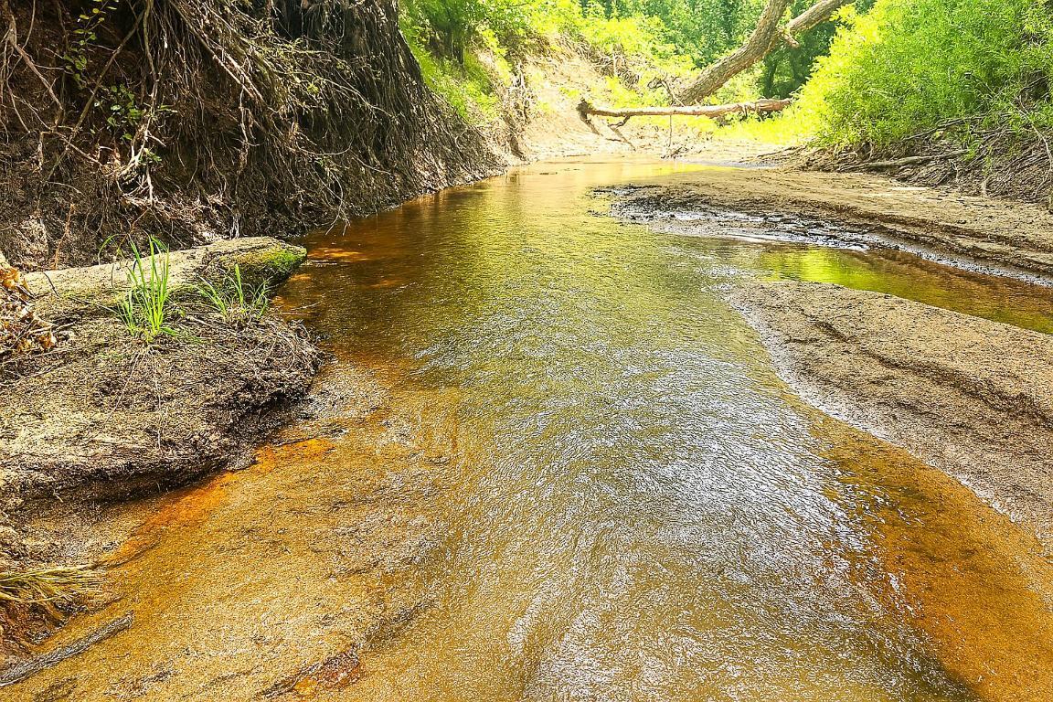 Photo of Listing #2645355