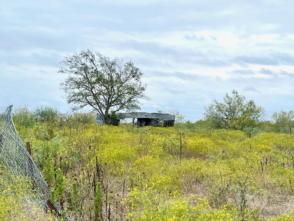 Photo of Listing #1069391