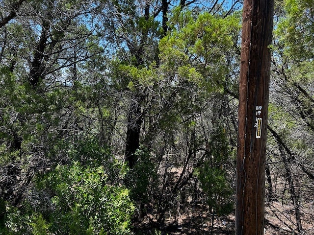 Photo of Listing #4700979