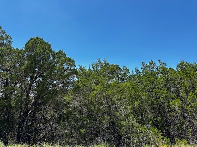 Photo of Listing #4974122